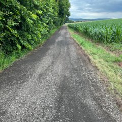 Blick auf den neu profilierten Weg